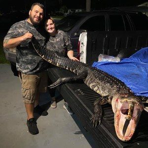 Meet your Posher, Charles